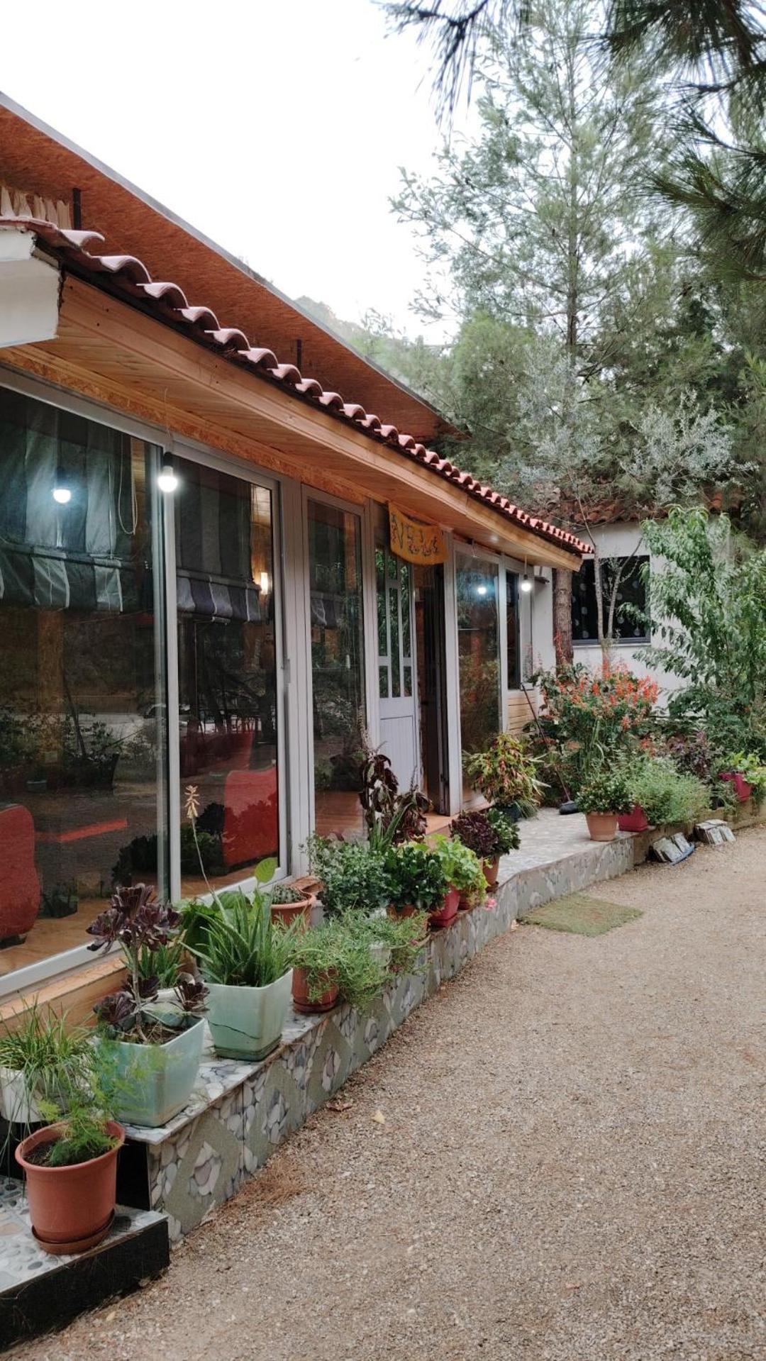 Dajti Bovilla Canyon מראה חיצוני תמונה